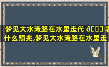 梦见大水淹路在水里走代 🐕 表什么预兆,梦见大水淹路在水里走代表什 ☘ 么预兆解梦